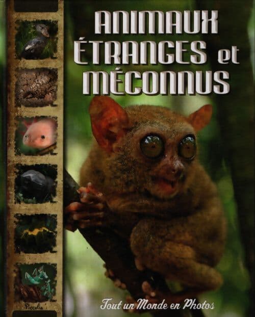 Animaux étranges et méconnus - Christine Baillet