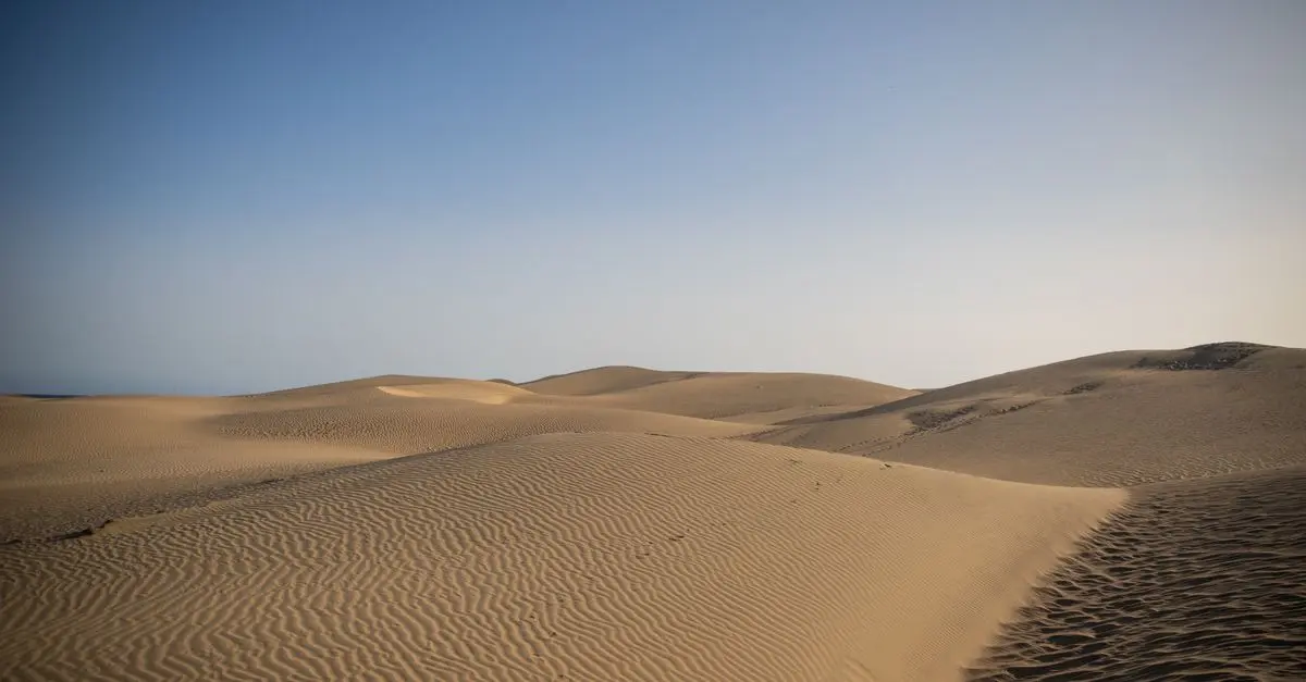 À la Découverte de la Tunisie : Richesses Culturelles et Naturelles
