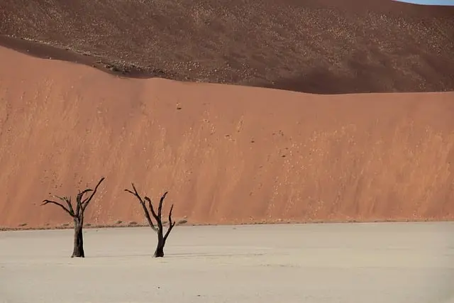 À la Découverte des Merveilles Méconnues de la Namibie