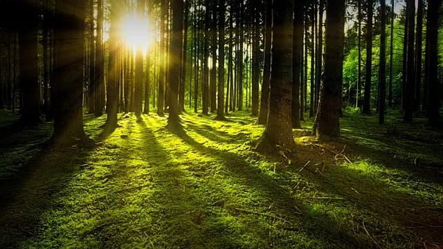 À la Découverte des Pays Inconnus : Évasion et Aventures Inédites