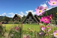 Alpes et traditions japonaises
