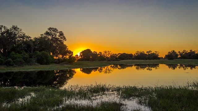 Les Richesses Cachées du Botswana à Découvrir