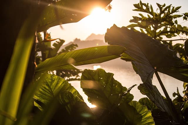Les Incontournables à Découvrir au Mexique : Culture et Nature